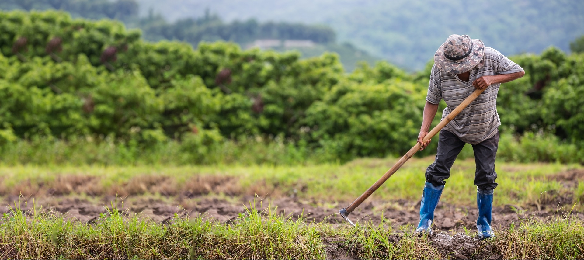 forjando caminos banner inicial